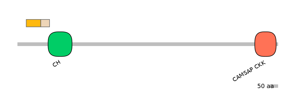 BtaINT0031080-EXC