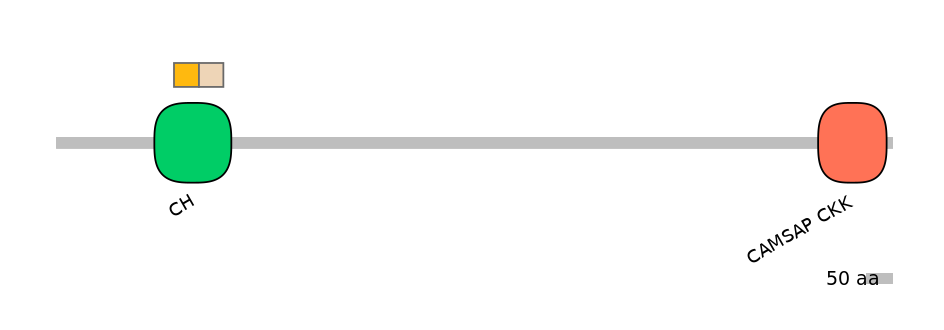 BtaINT0031083-EXC