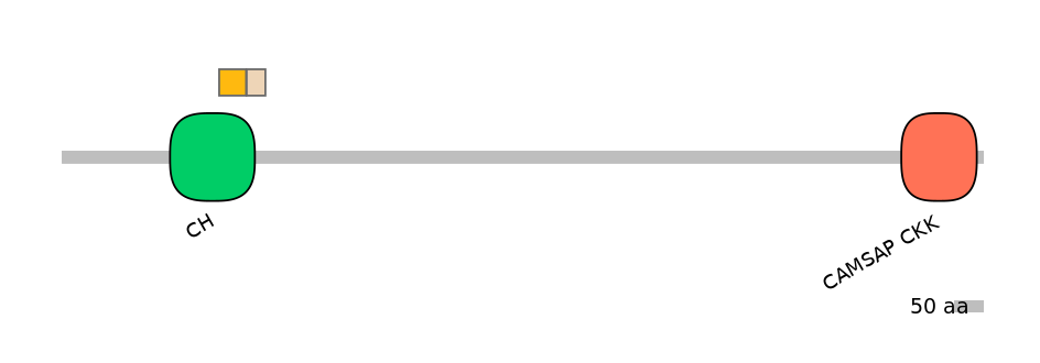 BtaINT0031084-EXC