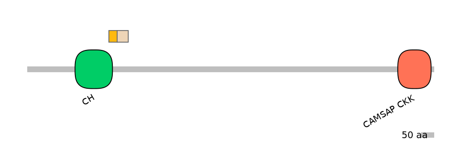 BtaINT0031085-EXC