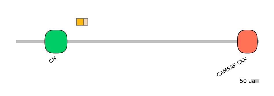 BtaINT0031087-EXC
