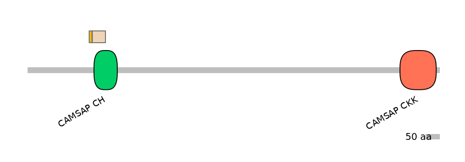 BtaINT0031089-EXC