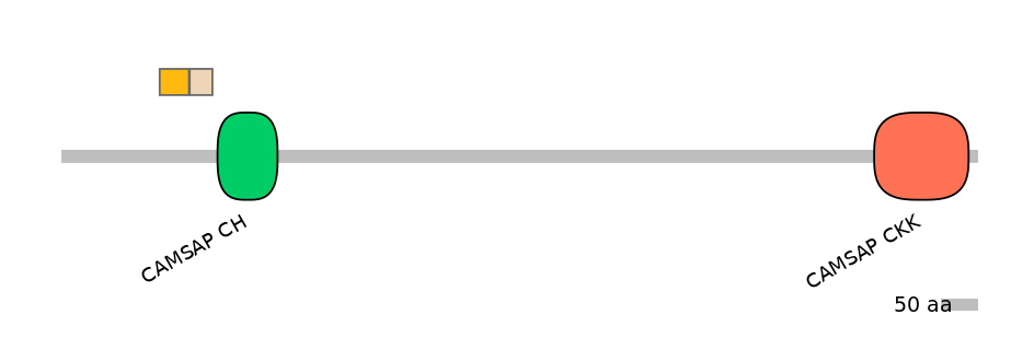 BtaINT0031116-EXC