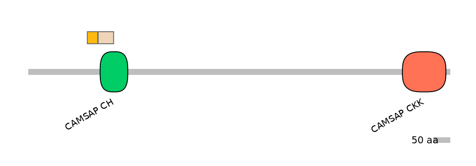 BtaINT0031117-EXC