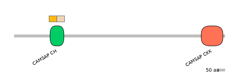 BtaINT0031118-EXC