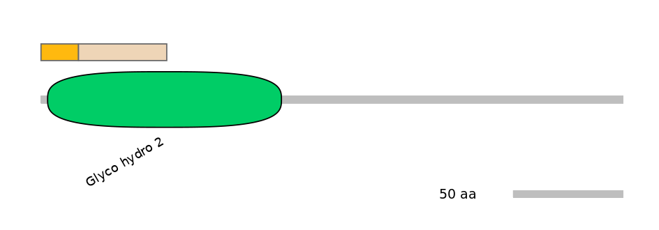 BtaINT0032782-EXC