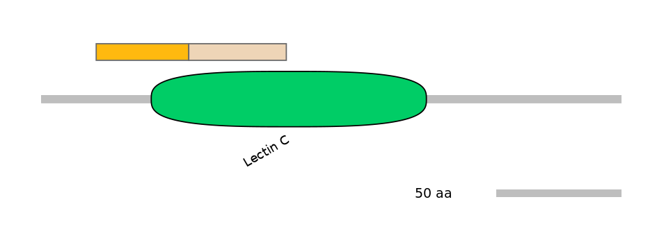 BtaINT0034481-EXC