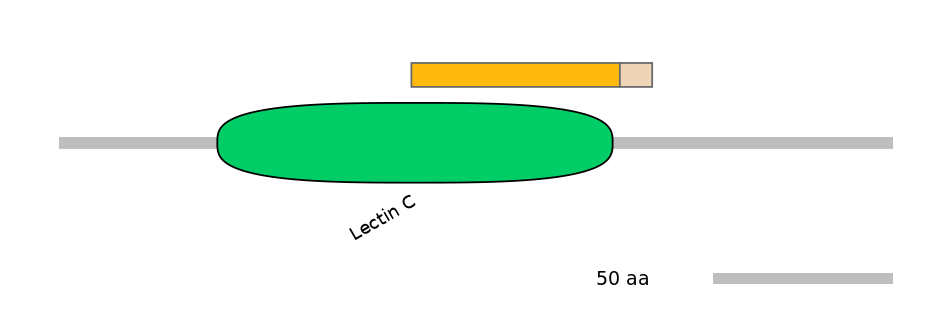 BtaINT0034483-EXC