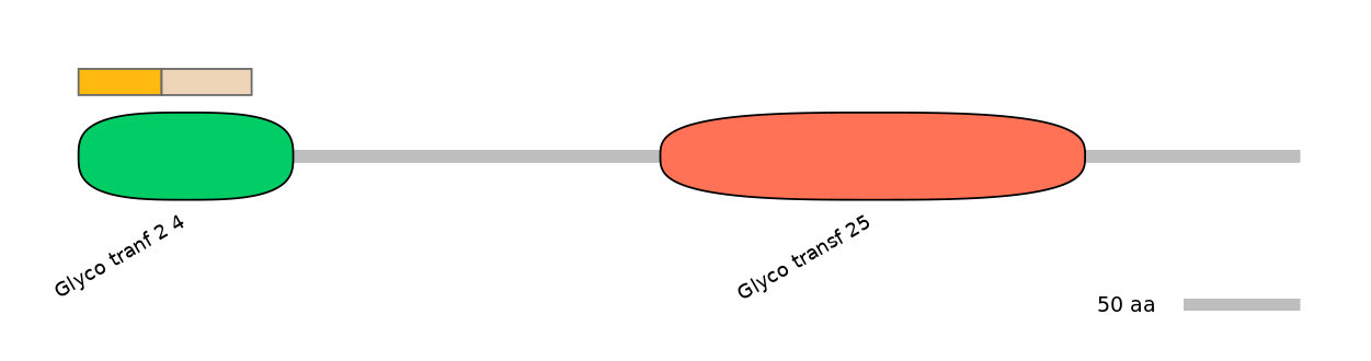 BtaINT0037021-EXC