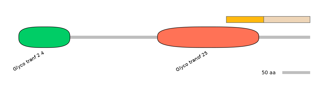 BtaINT0037022-EXC