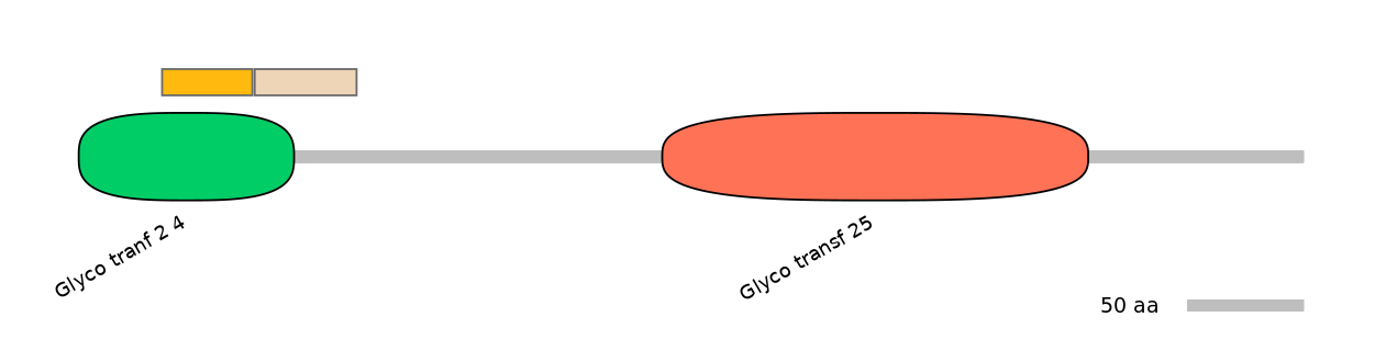 BtaINT0037024-EXC