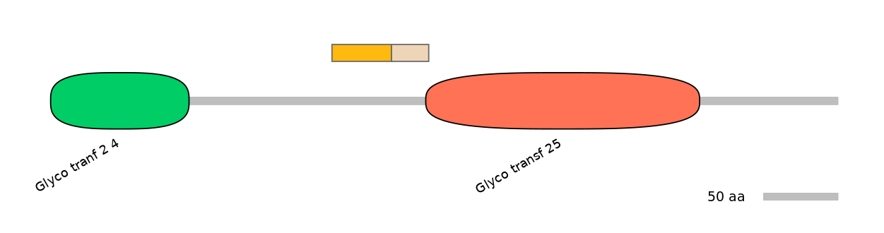 BtaINT0037027-EXC