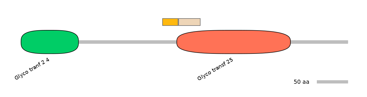 BtaINT0037028-EXC