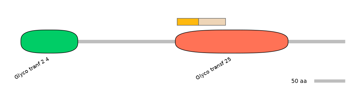 BtaINT0037029-EXC