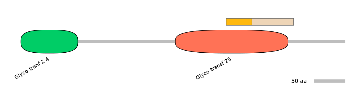 BtaINT0037031-EXC