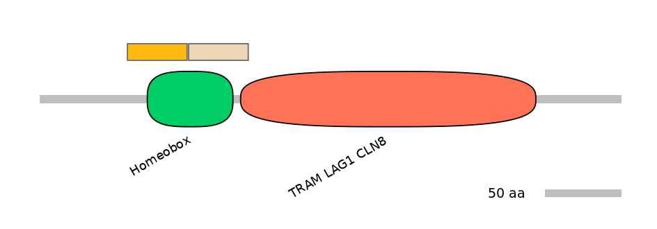 BtaINT0037059-EXC