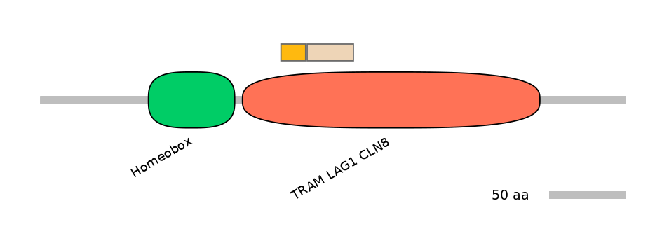 BtaINT0037062-EXC