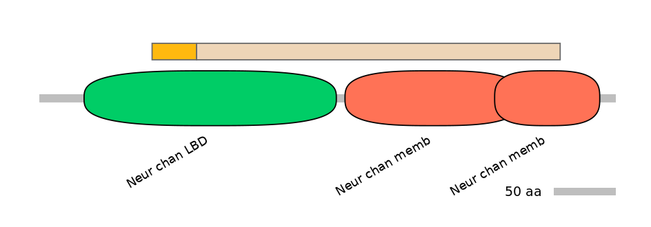 BtaINT0038391-EXC
