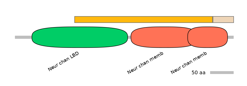 BtaINT0038392-EXC