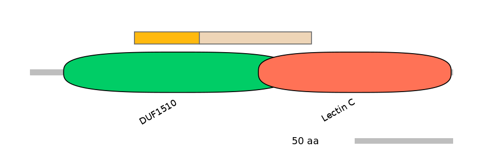 BtaINT0039254-EXC