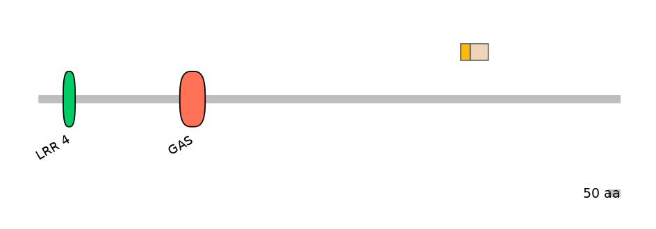 BtaINT0040486-EXC