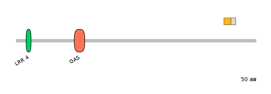 BtaINT0040492-EXC