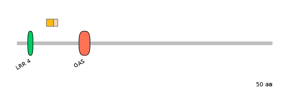 BtaINT0040500-EXC