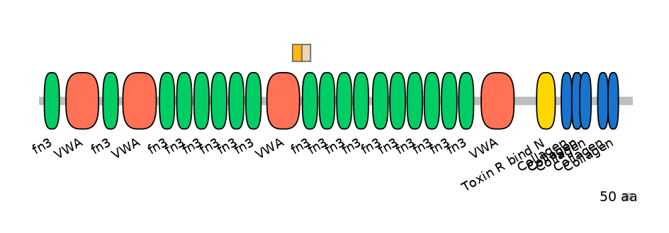 BtaINT0040842-EXC