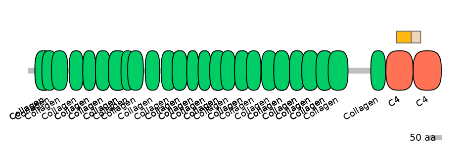 BtaINT0041686-EXC