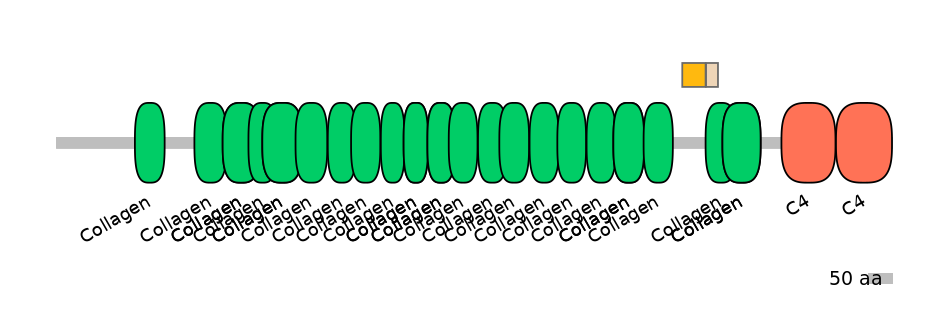 BtaINT0041887-EXC