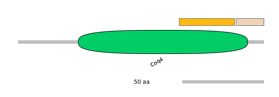 BtaINT0042814-EXC
