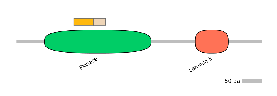 BtaINT0049896-EXC