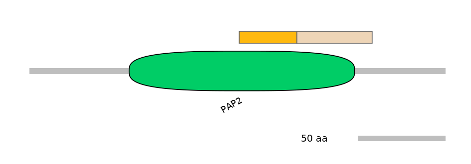BtaINT0052106-EXC