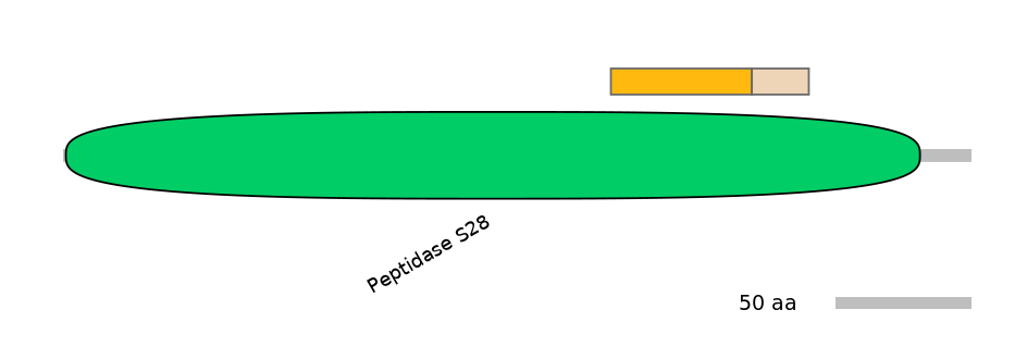 BtaINT0052421-EXC