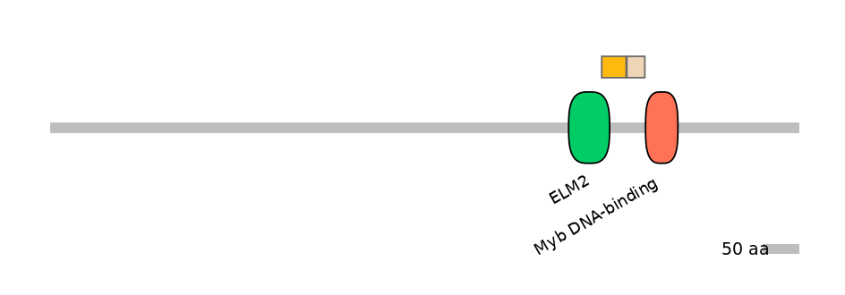 BtaINT0055762-EXC