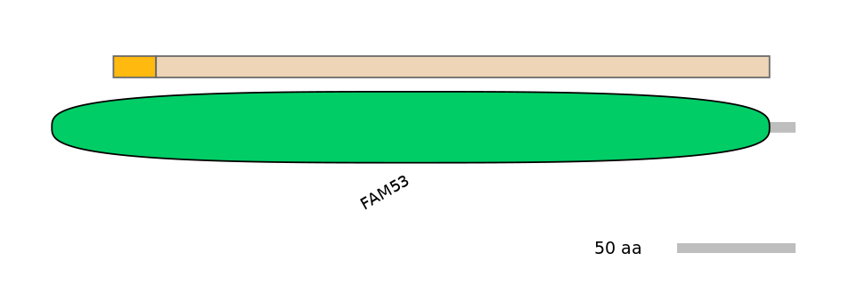 BtaINT0060173-EXC