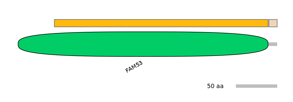 BtaINT0060174-EXC