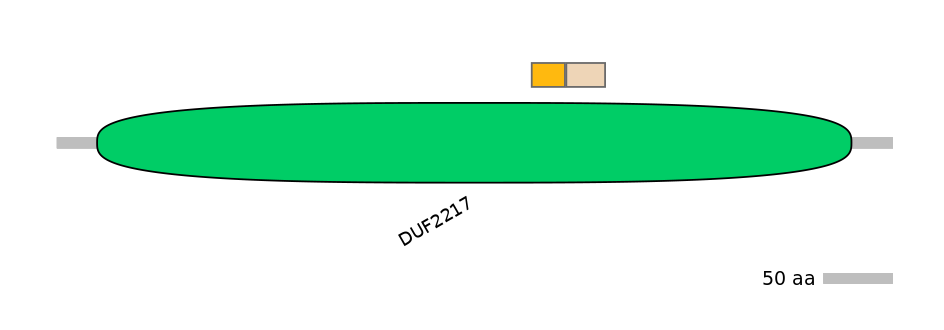 BtaINT0060321-EXC