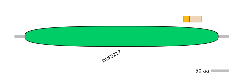 BtaINT0060325-EXC