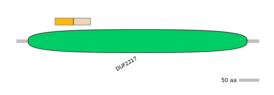 BtaINT0060328-EXC