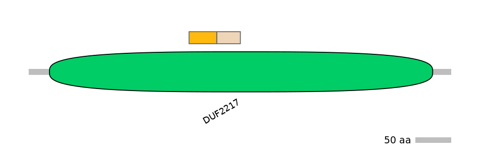 BtaINT0060346-EXC