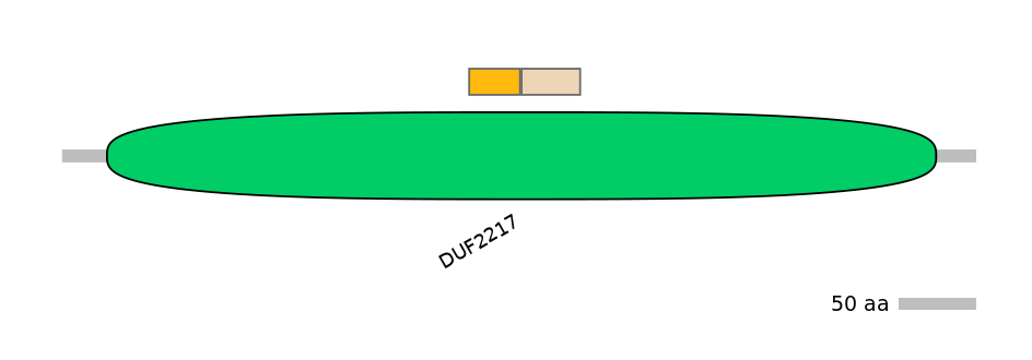 BtaINT0060347-EXC
