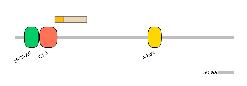 BtaINT0061290-EXC