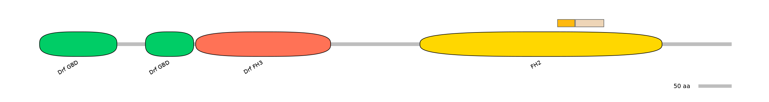 BtaINT0063174-EXC