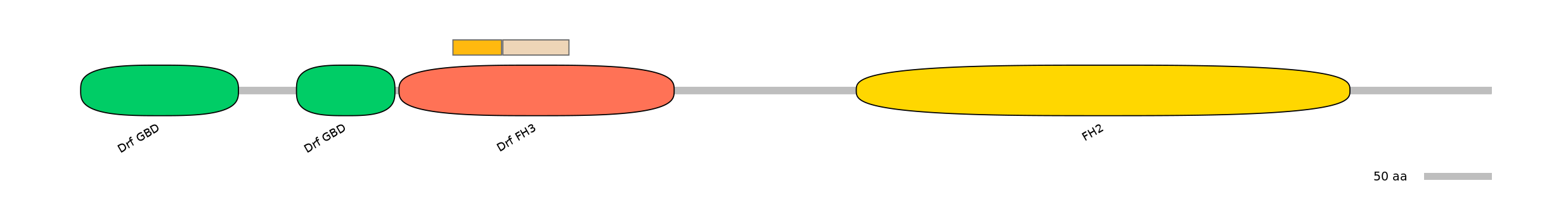 BtaINT0063181-EXC