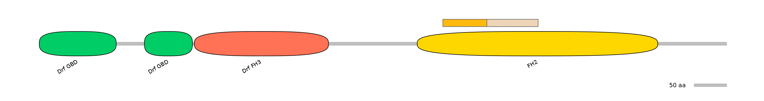 BtaINT0063186-EXC