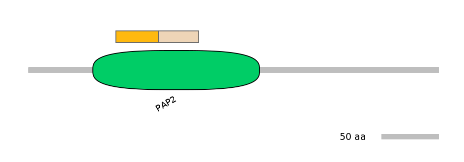 BtaINT0064744-EXC