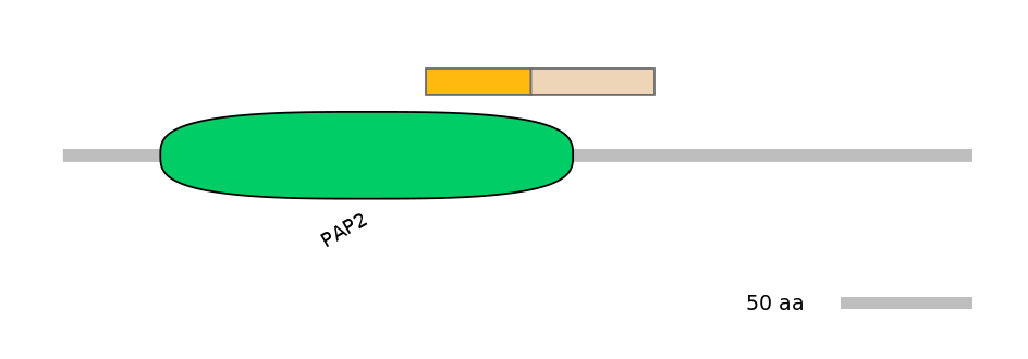 BtaINT0064754-EXC