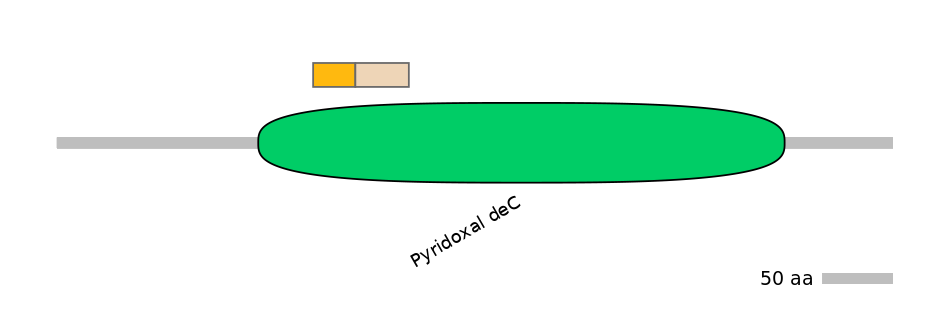 BtaINT0065022-EXC