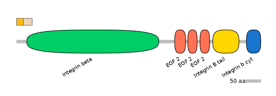 BtaINT0076615-EXC